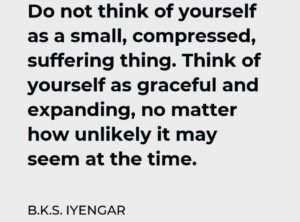 DO_NOT_THINK_MR_IYENGAR